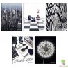 Brulion Brulion  Zima 2015 “Black & White Remake”  Herlitz - A4 - 70 kartek - kratka
